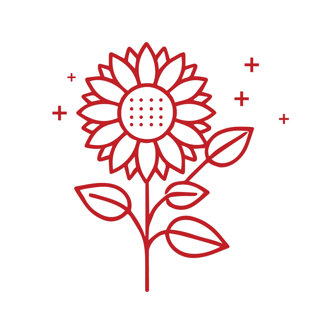 Slider 2 Img 1